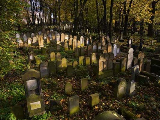 Cmentarz Żydowski w Krakowie 2022